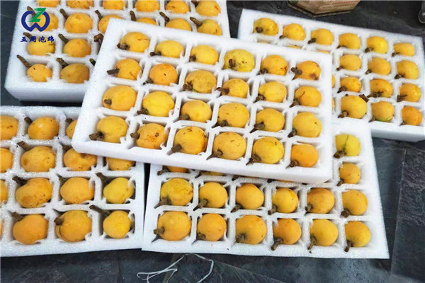 珍珠棉水果托定做，就找五周泡綿