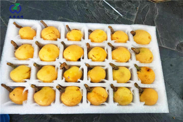 防止水果運(yùn)輸霉變，用珍珠棉水果托就對(duì)了